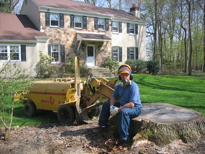large stump and grinder
