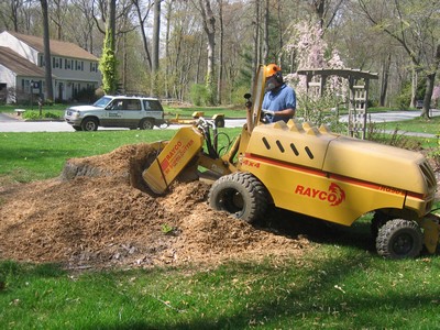 stump new grinder clients raking out ships