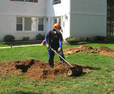 Stump grinding cleanup