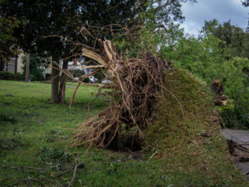 Hurricane Matthew