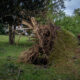 Hurricane Matthew