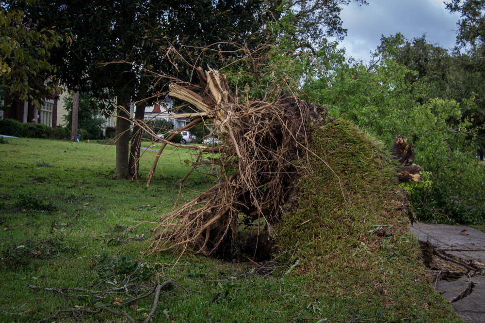 Hurricane Matthew