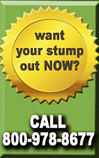 Stump Munchers phone number 200x320
