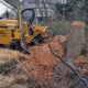 stump new grinder on big oak in creek